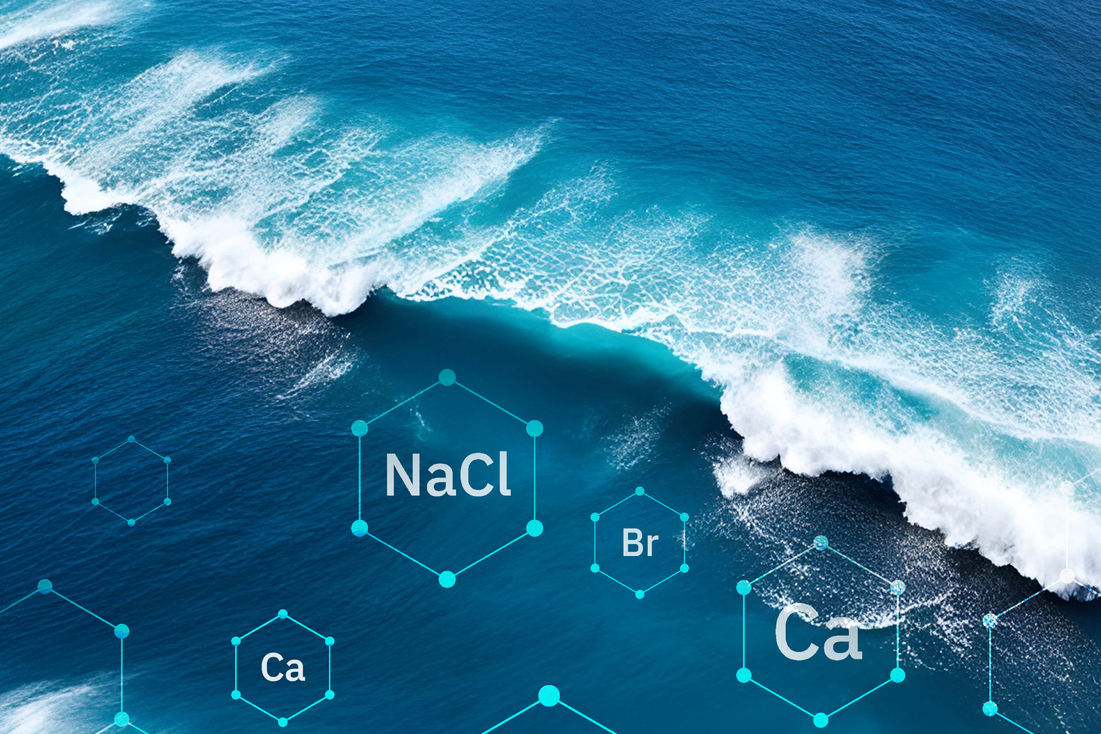 التقارير المتخصصة